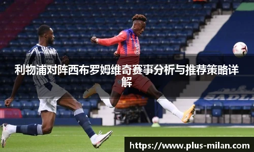 米兰体育官方网站入口